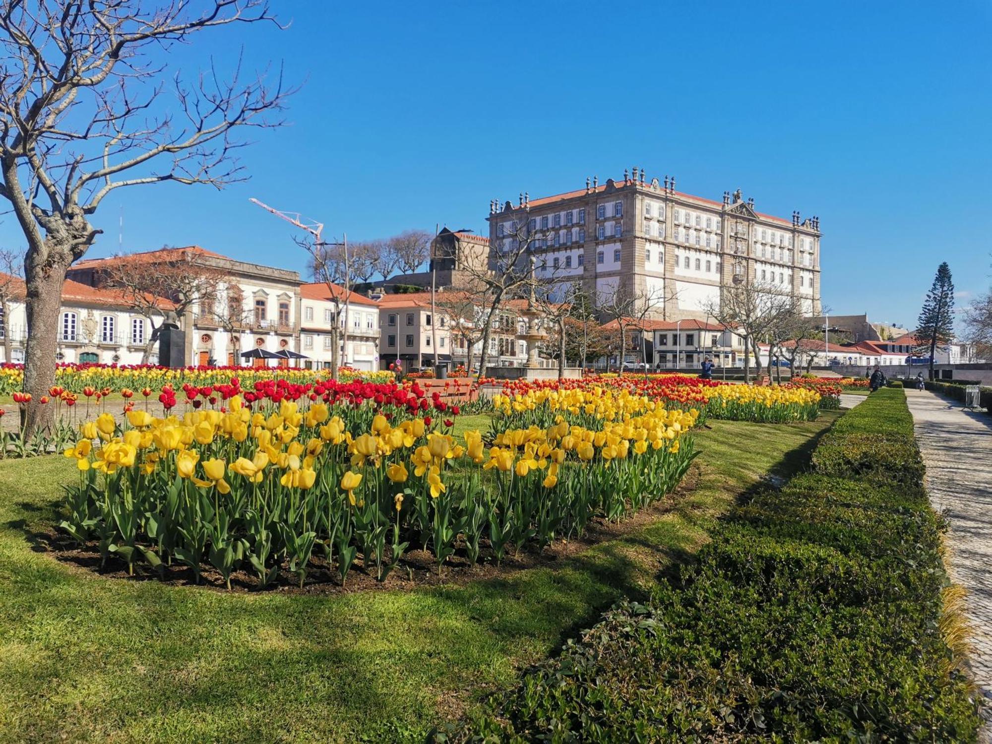 Villa Amor Perfeito Vila do Conde Εξωτερικό φωτογραφία